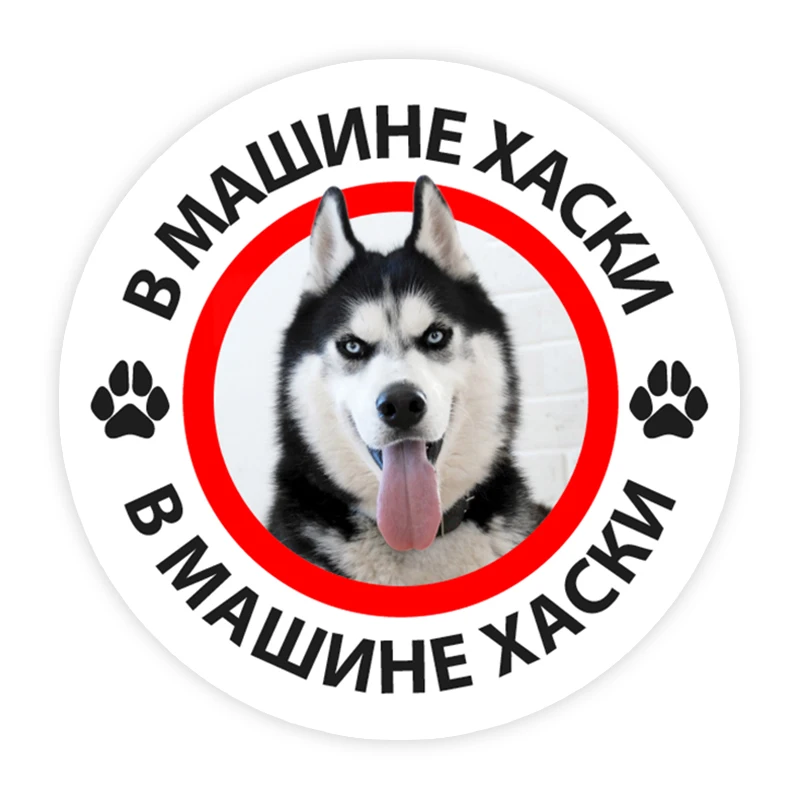 

B0227# Various Sizes Self-adhesive PVC Decal Husky in the Car V2 Car Sticker Waterproof Auto Decors on Bumper Rear Window