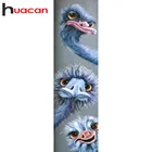Huacan 5д алмазная мазайка страус картина стразами aлмазная вышивка распродажа полная выкладка