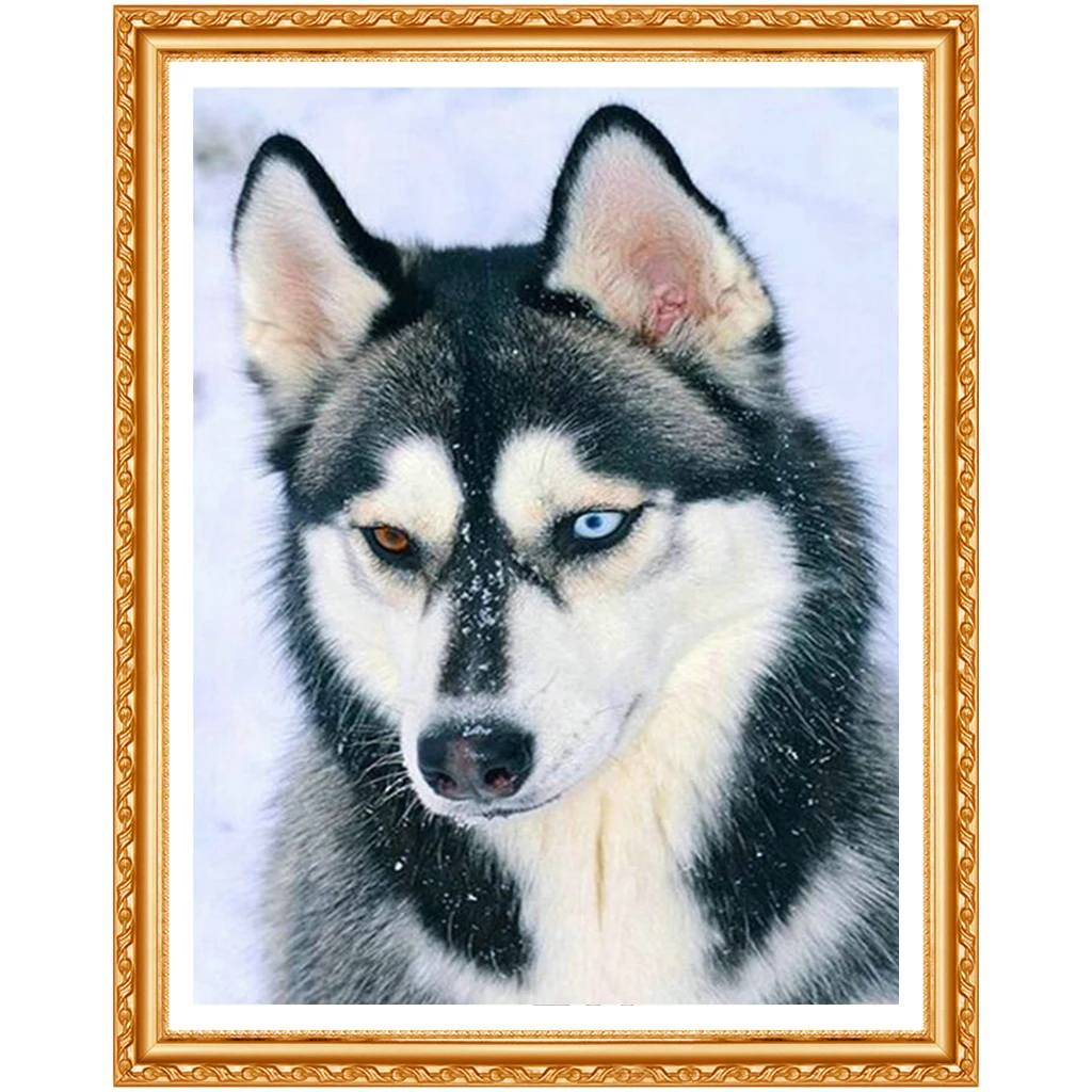 5D DIY Алмазная картина Снежная собака вышивка крестиком алмазная Хаски