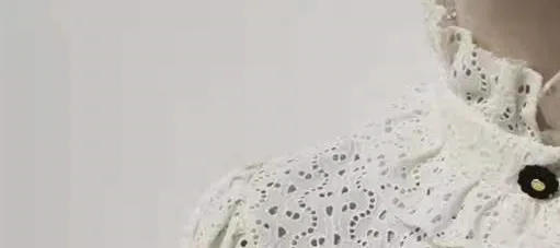 

Women Embroidery Hollow Out Blouse Vintage Ruffled Stand Collar 2021 Autumn Winter Puff Sleeve Casual Shirt