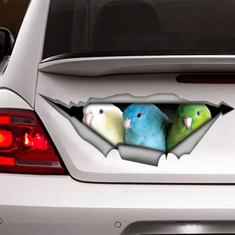 

2021 parakeet car decal, funny car sticker, bird decal, parakeets sticker