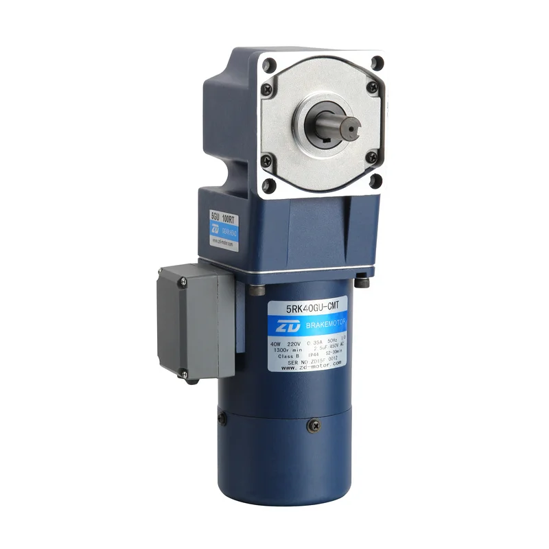 

Low speed long life single phase 220V 120W AC induction gear motor for packing machine