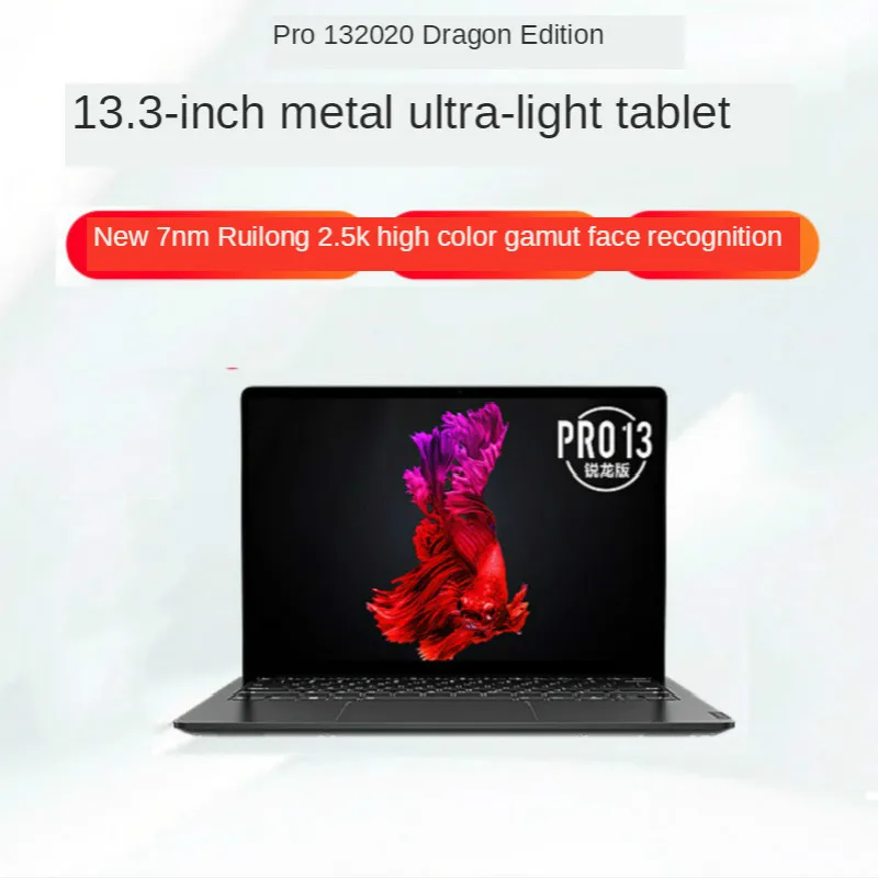 

Pro13 2020 13.3-Inch Laptop R5/R7 16G/512G