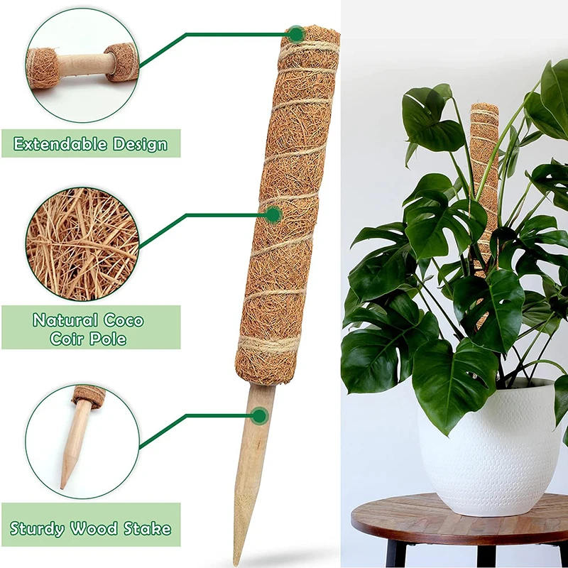 

Reusable Plant Climbing Stand Durable Flower Plants Support for Balcony Garden Courtyard Easy to Use E7