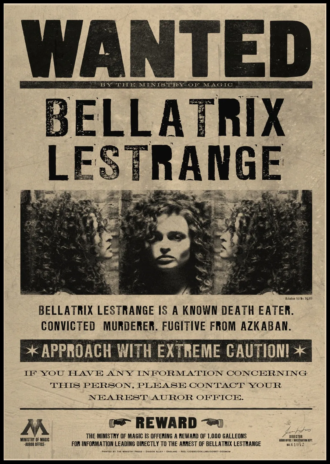 Желаемая ВИНТАЖНАЯ фотография bellatrx Lestrange декоративные картины | Дом и сад