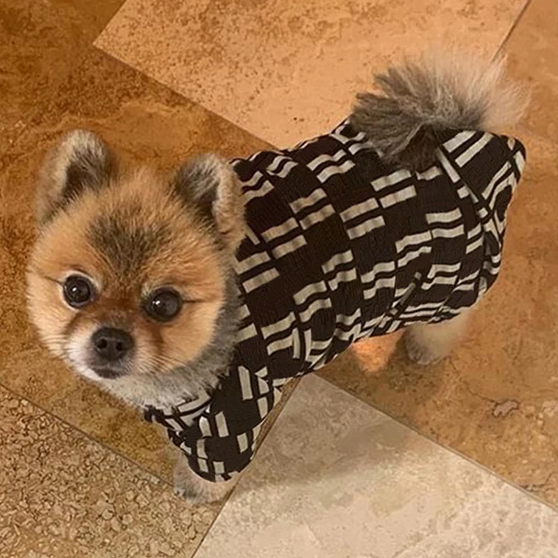 Модный свитер с изображением померанского мопса чихуахуа летняя футболка одежда