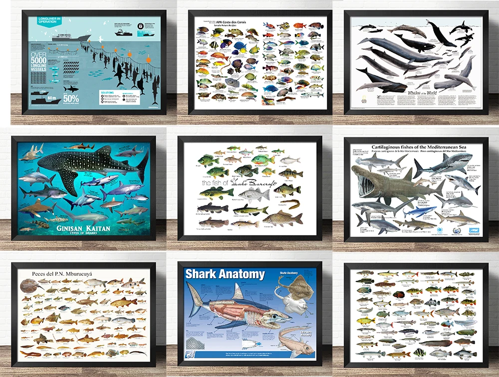 Декоративные винтажные иллюстрации в европейском стиле морские рыбы акулы