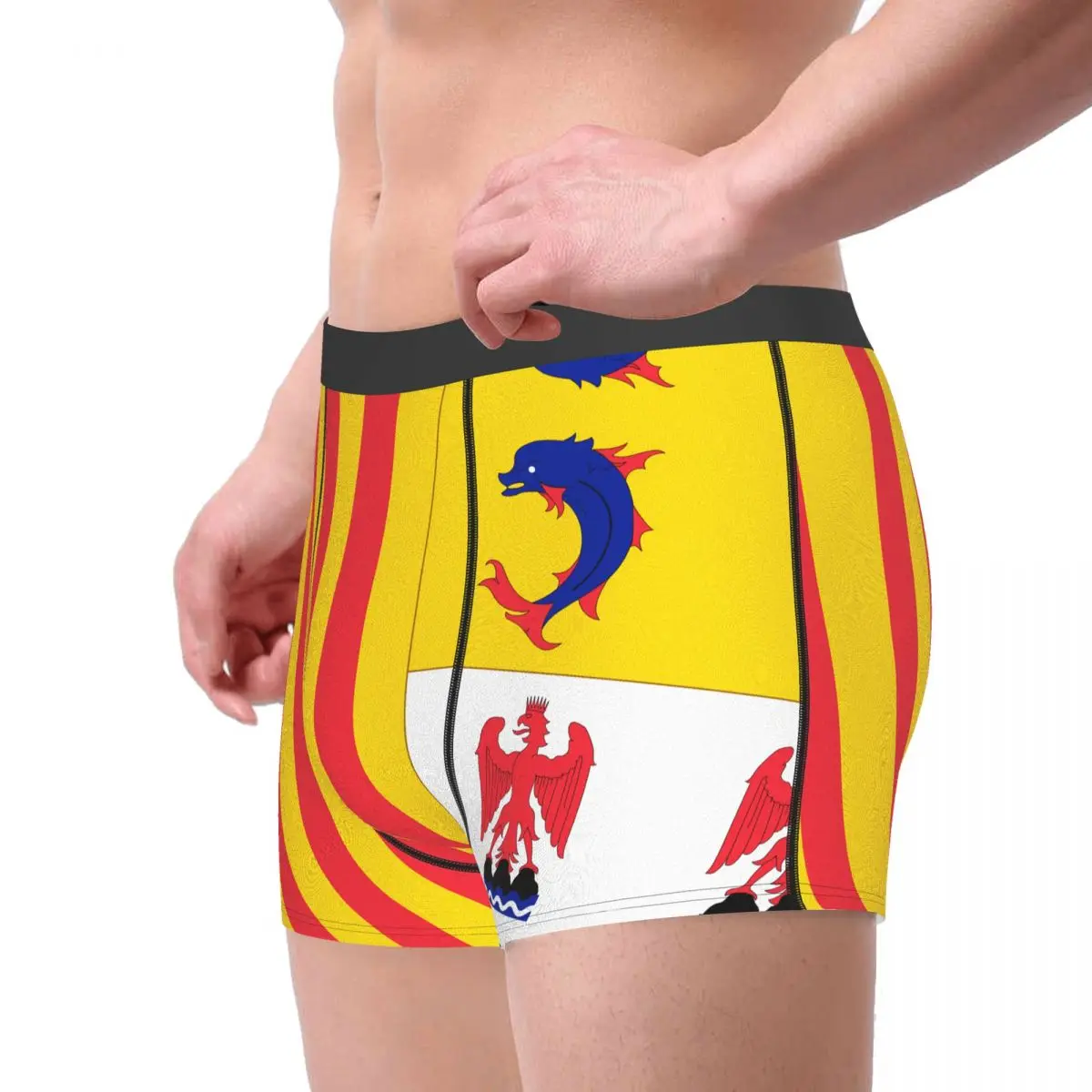 Flag Of Provence-Alpes-Côte D'Azur Men's Boxer Briefs Flags of the regions of France Geek Men's boxer leggings
