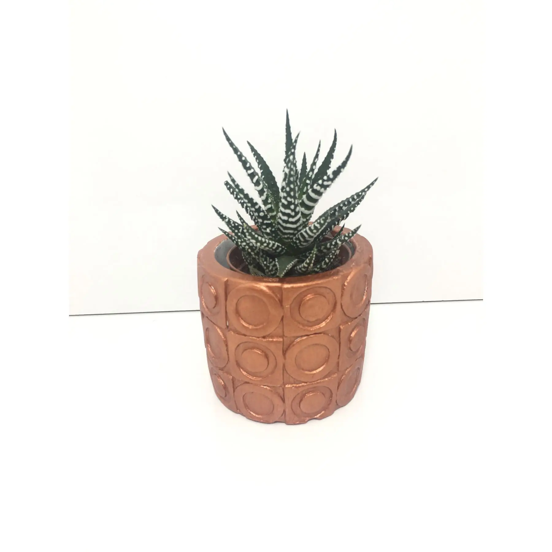 

Oval Textured Concrete Pot and Live Sukulent - YE1601