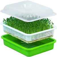 quality seed sprouter tray with lid bpa free bean sprout grower sprouting seeds tray dirt free way and big capacity