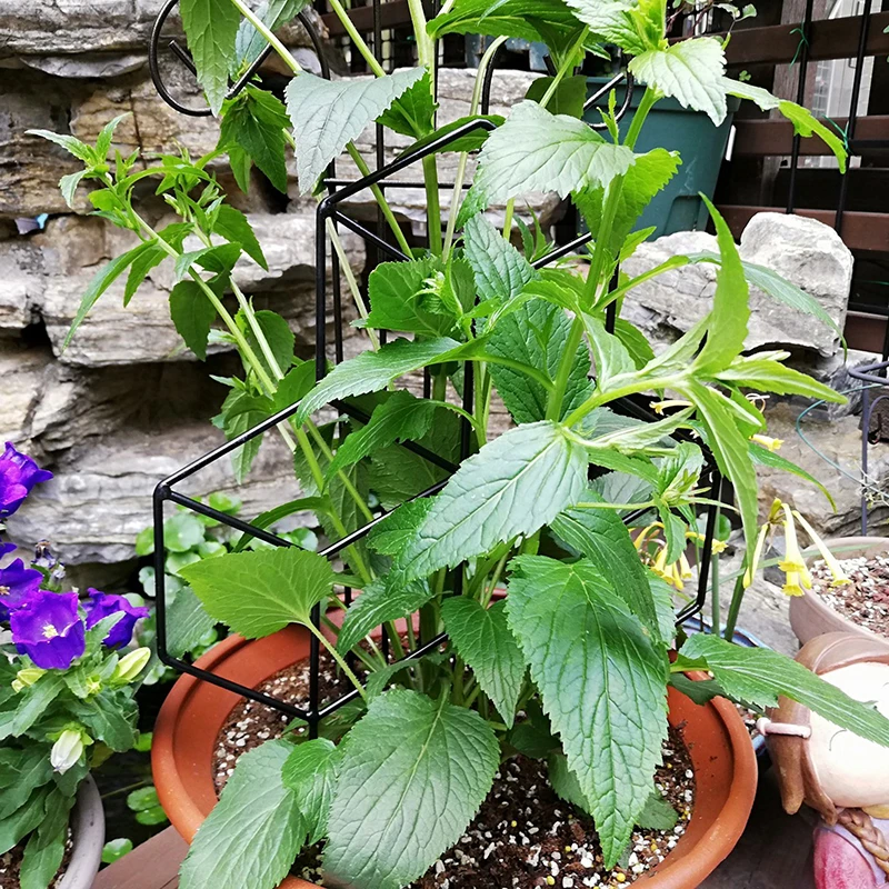 Железная решетка для ограждения растений|Детские горшки| |