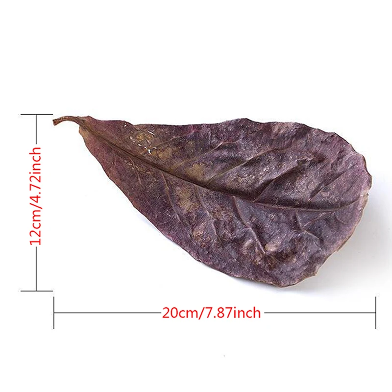 

Natural Leaves Leaves Almond Leaf Fish Cleaning Treatment Aquarium Tank