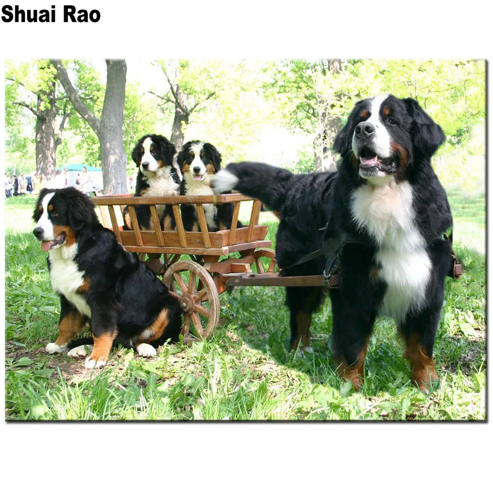 Алмазная живопись сделай сам вышивка крестиком с изображением Бернской горы