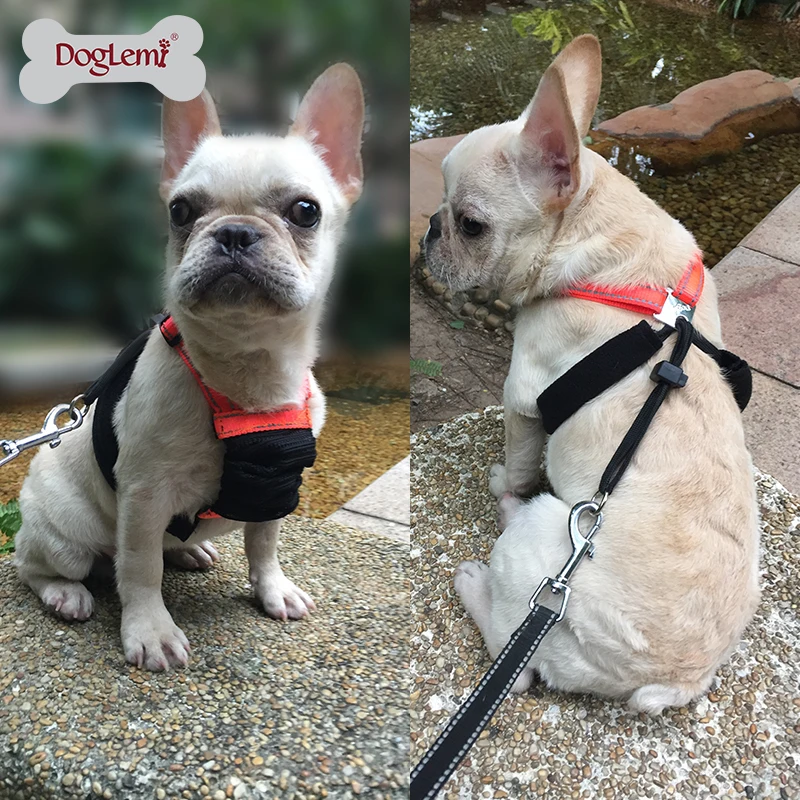 Не вытягивающий поводок для собак не сетчатый домашних животных|Наборы| |