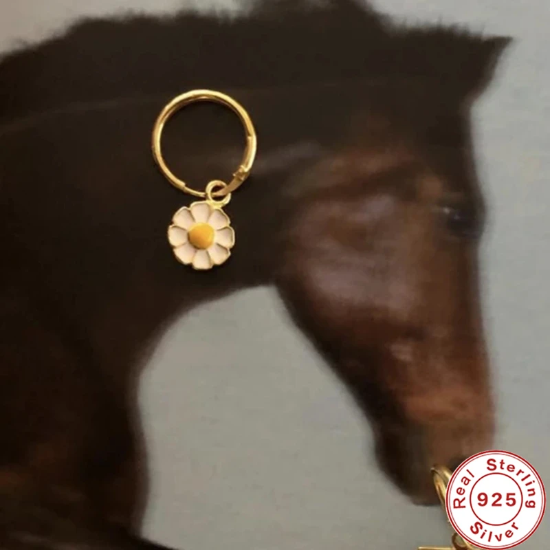 

Aide Punk 925 Sterling Silver Animal Butterfly Earrings 2021 Trend Hoop Earrings Jewelry Circle Drop Earring Huggie Pendientes