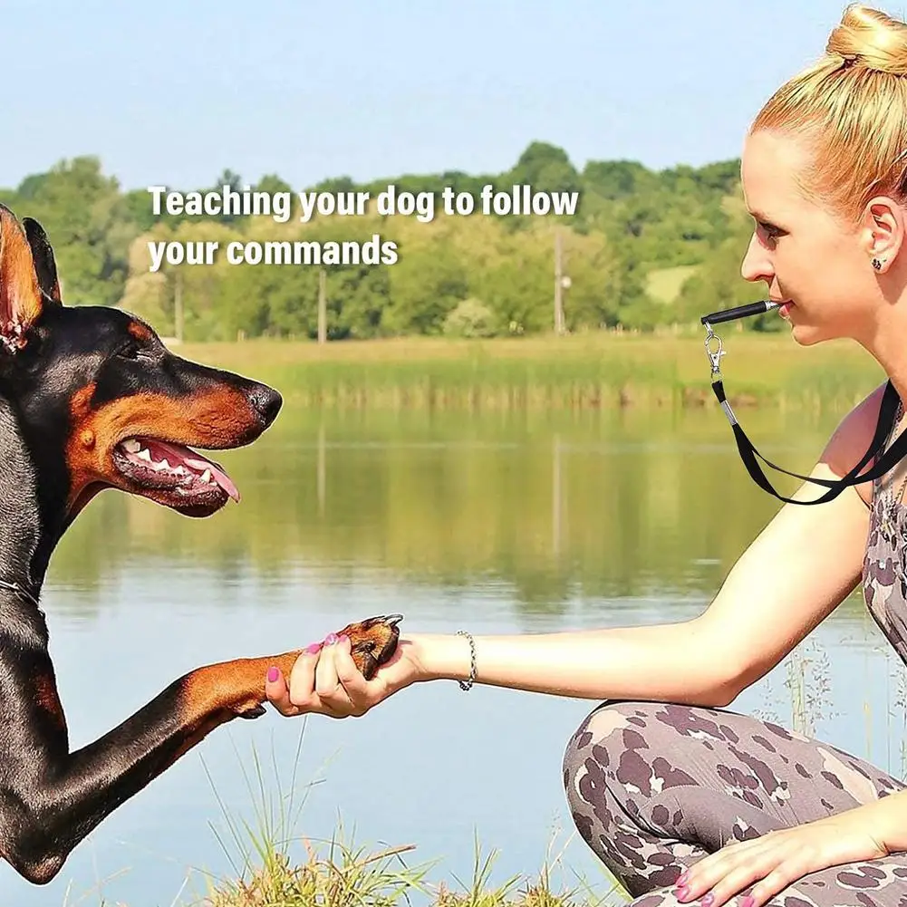

1pcs Black Two-tone Ultrasonic Flute Dog Whistles For Training Dog Puppy Pet Sound Whistle Accessories Obedience Whistle T0F9
