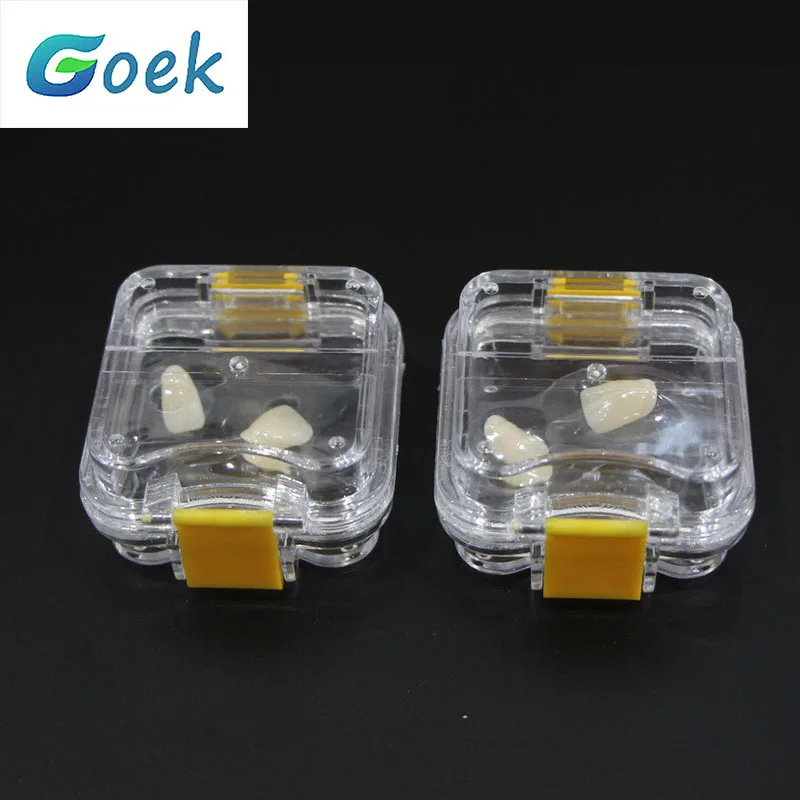 

10pcs Dental Tooth Box With Film Inside Membrane Tooth Implant Transparent Plastic Box Laboratory Tools