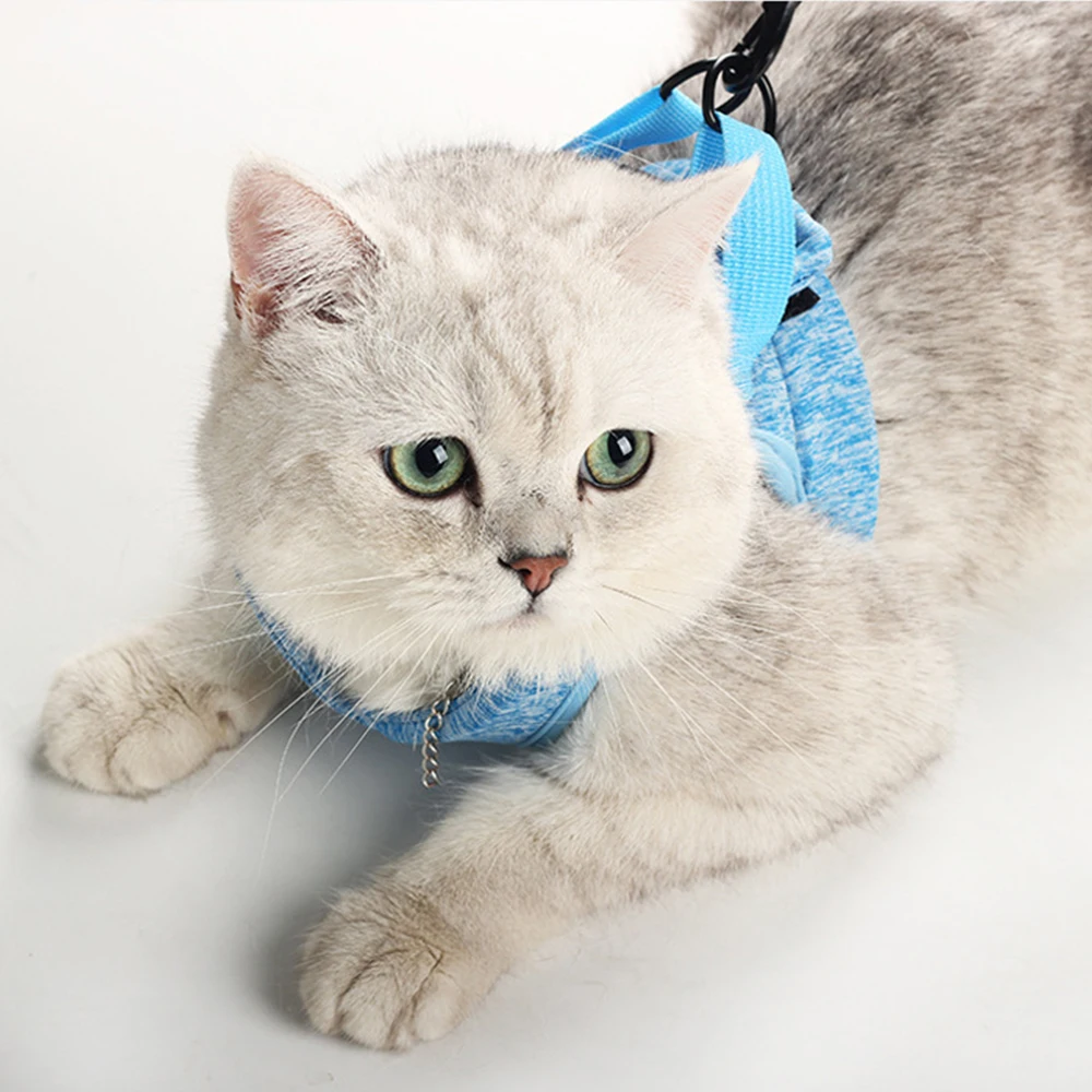 Жгут проводов для кошек регулируемый жилет с защитой от ударов светильник Кая