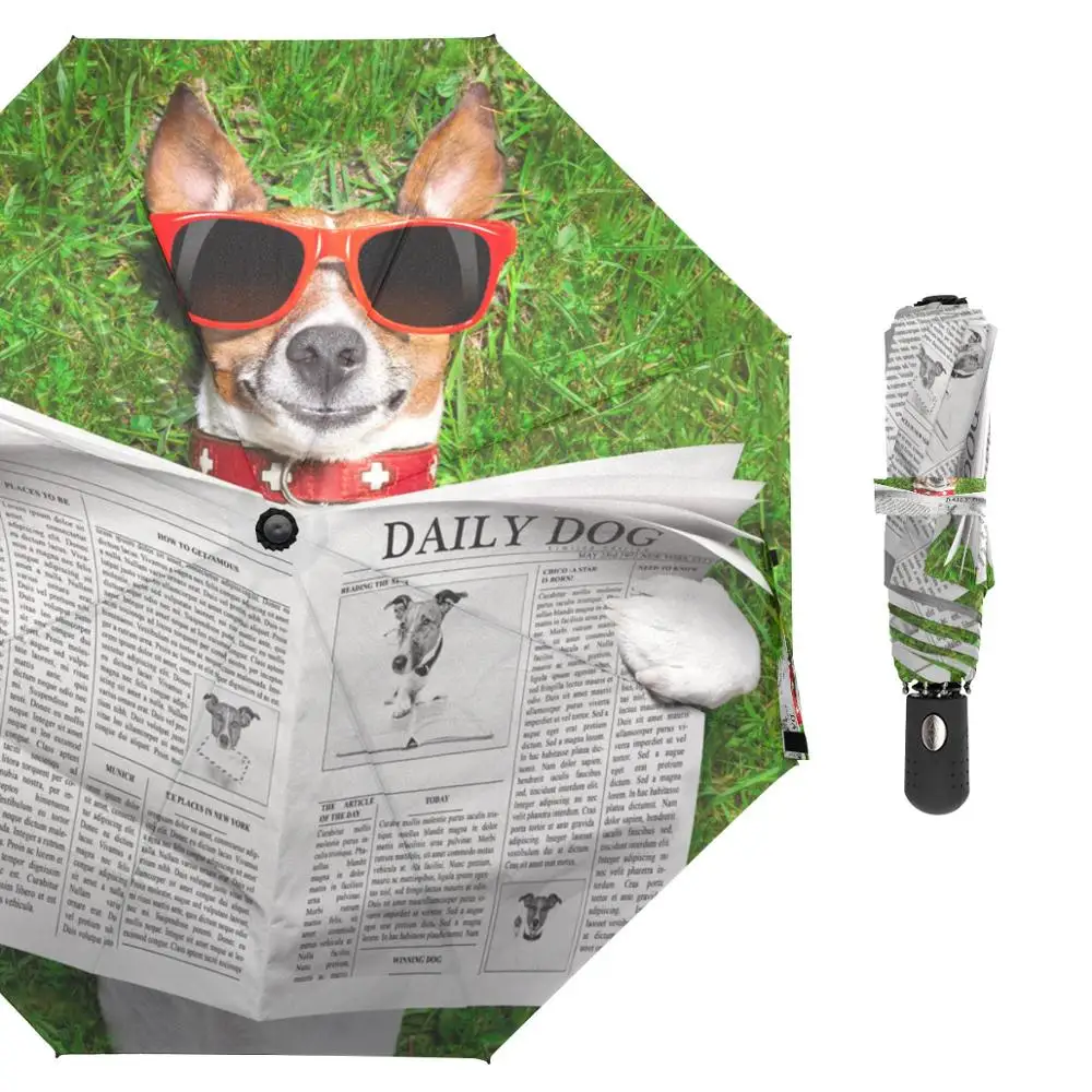 Зонт-автомат для чтения собак и газет три складных зонта своими руками зонты