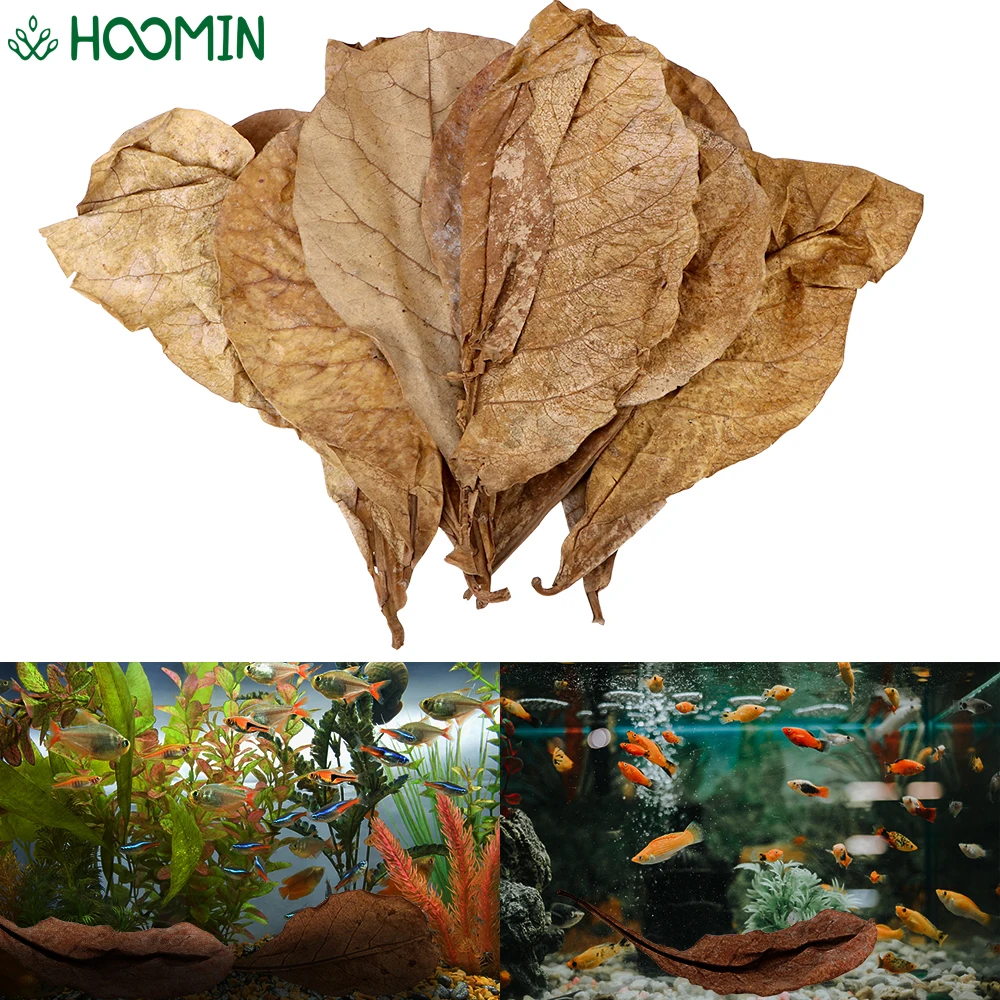 Инструменты для очистки аквариума из натуральных листьев катаппы 60/40/20 шт.