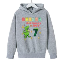 cartoon birthday custom spring hoodies kids casual pullover teen girls boys sweatshirt dinosaur custom children fashion clothes