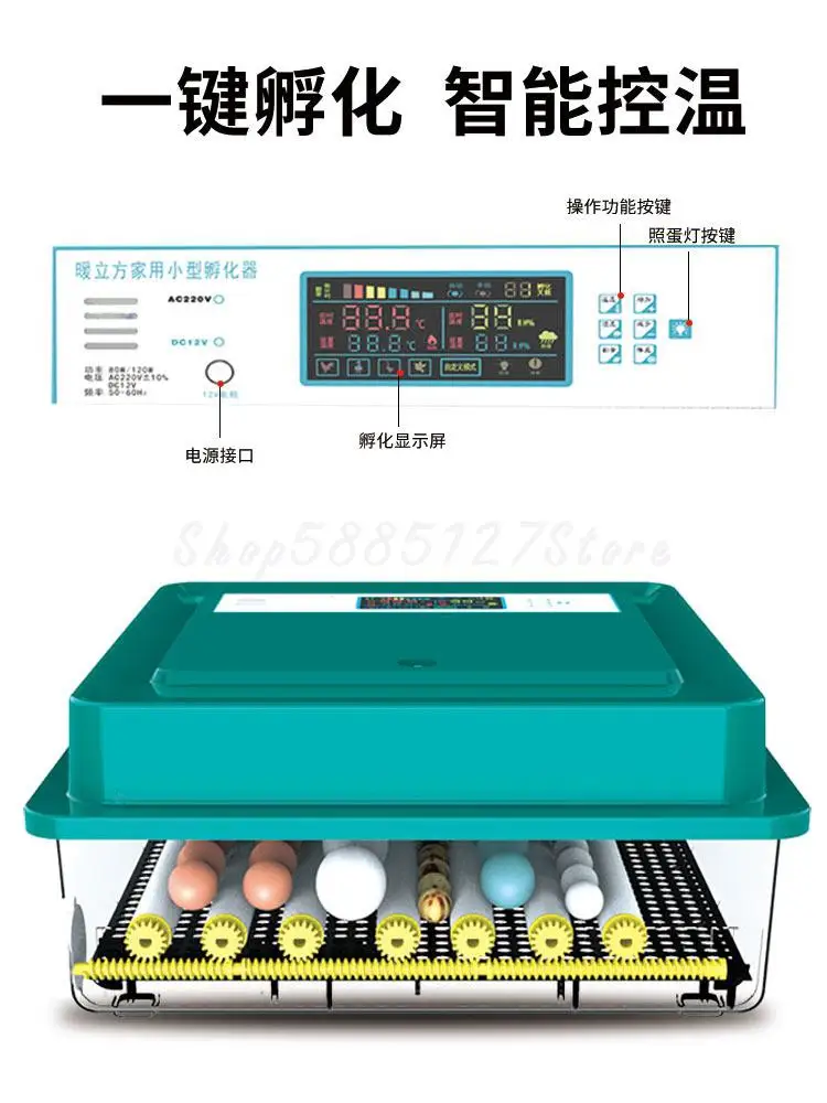 Инкубатор маленький домашний инкубатор автоматический интеллигентая (ый)