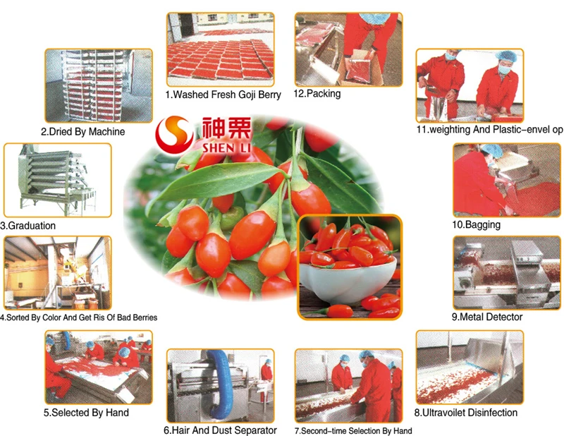 Первоклассная китайская сухая ягода Годжи Волчья натуральная здоровая добавка