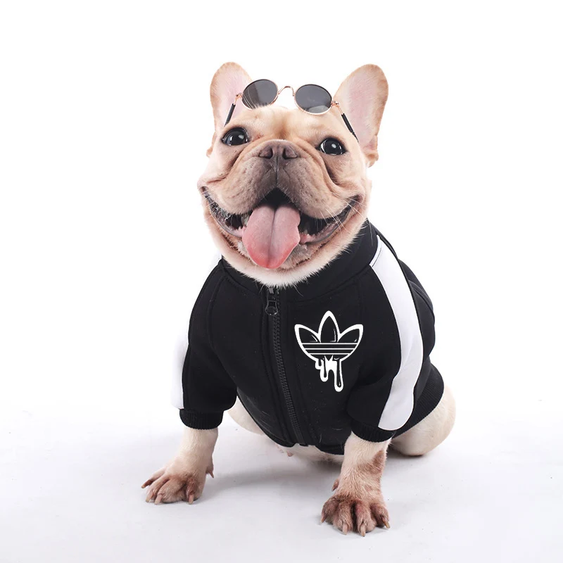 Одежда для собак зимние теплые куртки щенка чихуахуа одежда толстовки маленьких