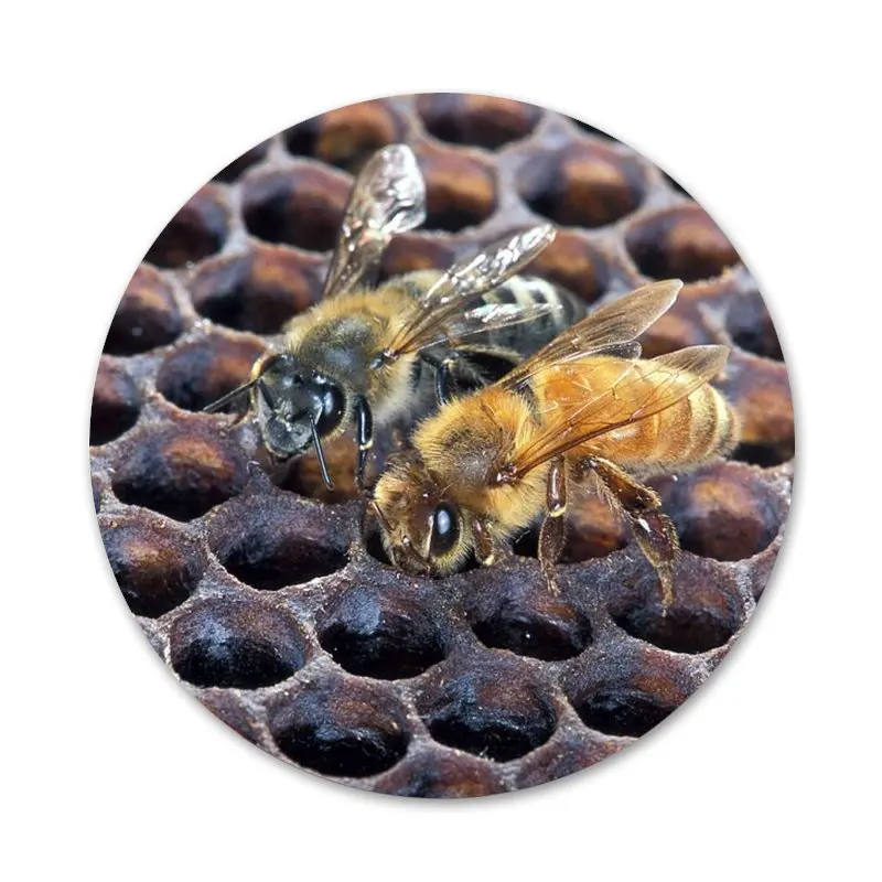 Золотой Honeycomb медоносной пчелы значок на булавке декоративные Броши