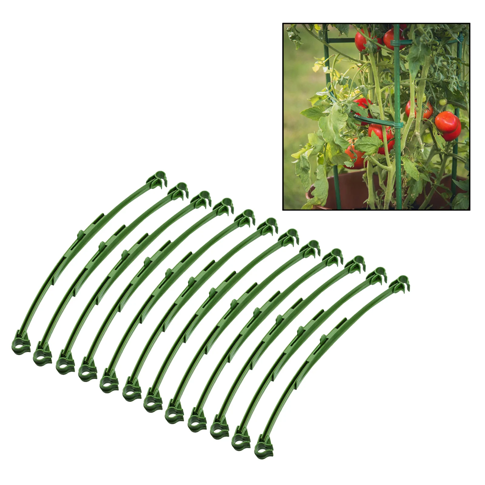 

12PCS Stake Arms for Garden Tomato Cage Stem Support Plant Growth Aid Green