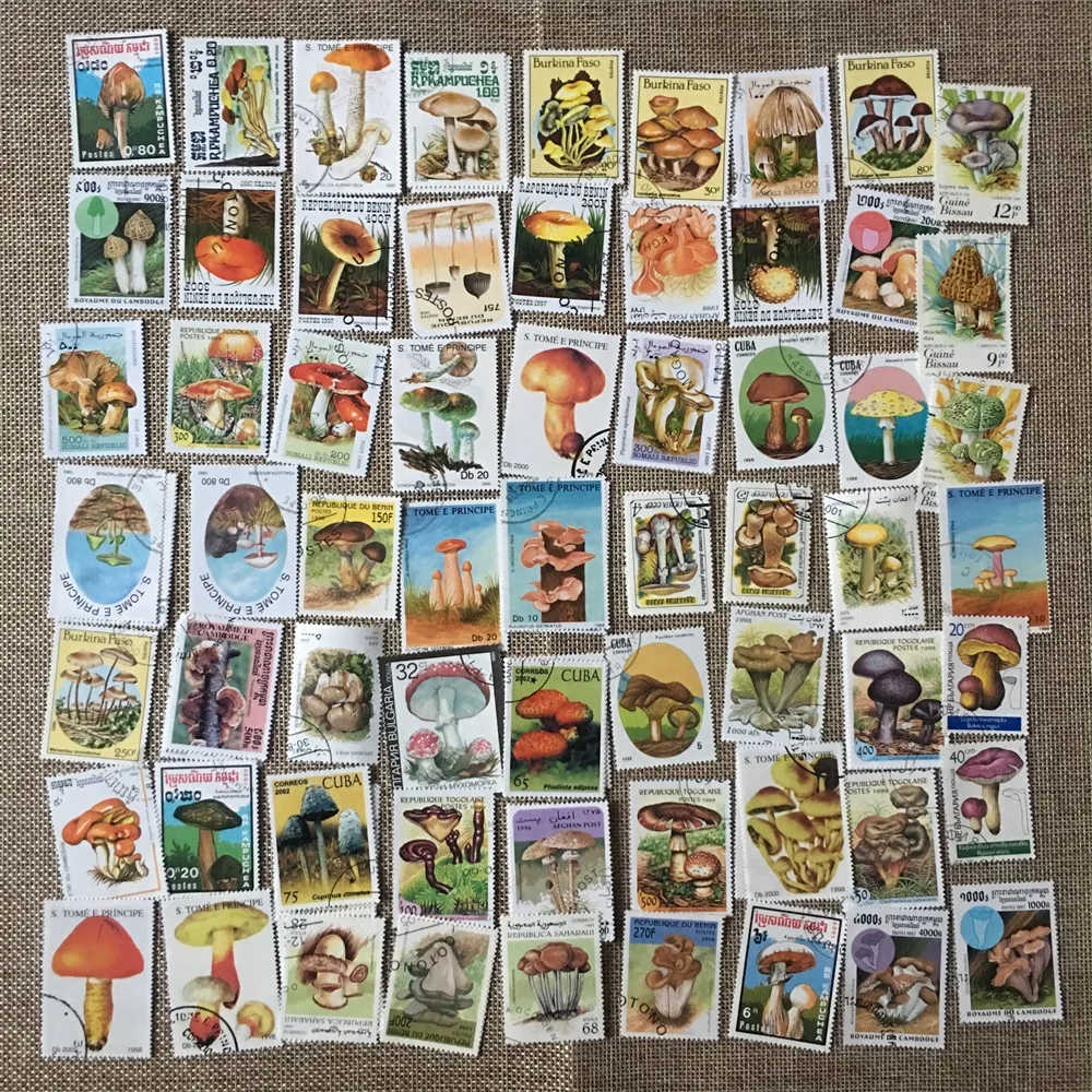 50 шт./компл. гриб все отличается от многих стран без повтора с неиспользованными