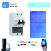 ewelink 2p wifi circuit breaker power monitoring meter function smart mcb alexa google home compatible lan control ifttt support