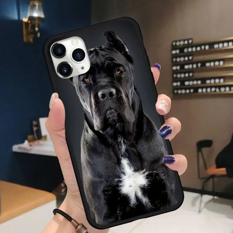 

Pit Bull Lovely Pet Dog Pitbull Phone Case for iPhone 11 12 pro XS MAX 8 7 6 6S Plus X 5S SE 2020 XR mini Funda