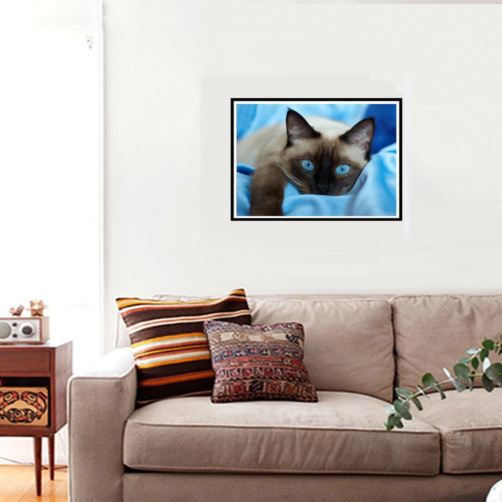 5D часть Алмазная картина животные голубые глаза кошка Сделай Сам Вышивка в форме