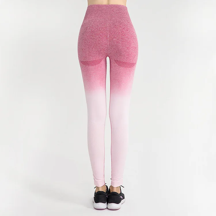 Pink White Pants Женский укороченный бесшовный топ с длинным рукавом с изображением акулы, женские футболки для тренировок, женские спортивные топы для спортзала - Цвет: Pink White Pants