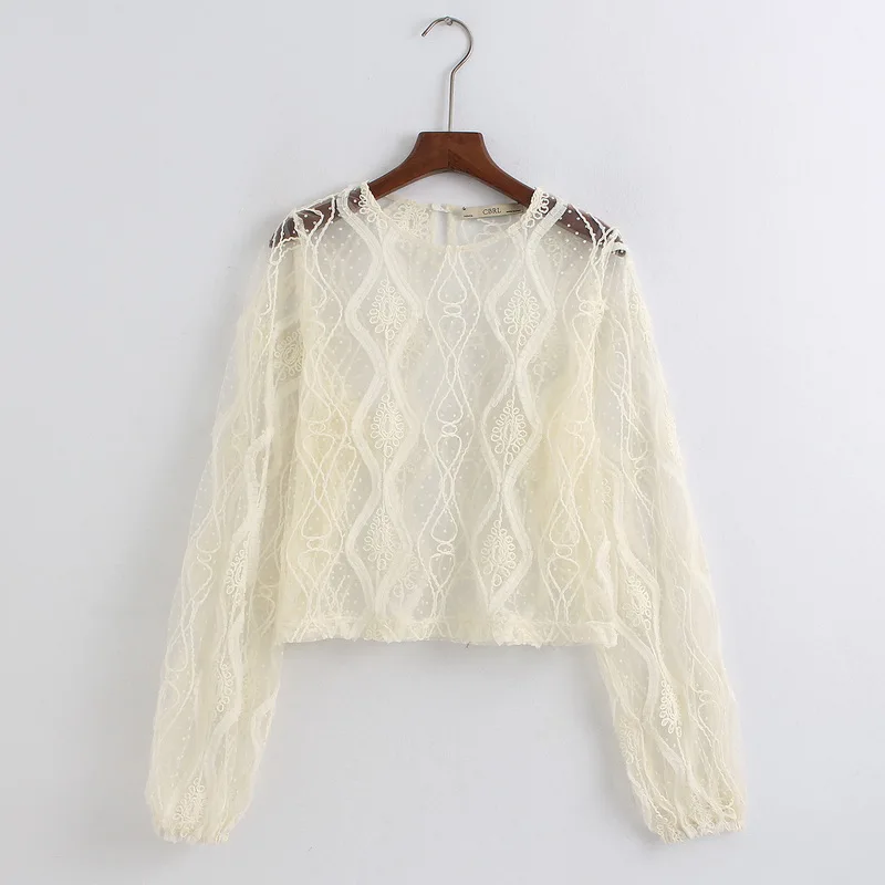 Прозрачная женская блузка Осень 2010 Весна Новая мода Блестящий пуловер рубашка