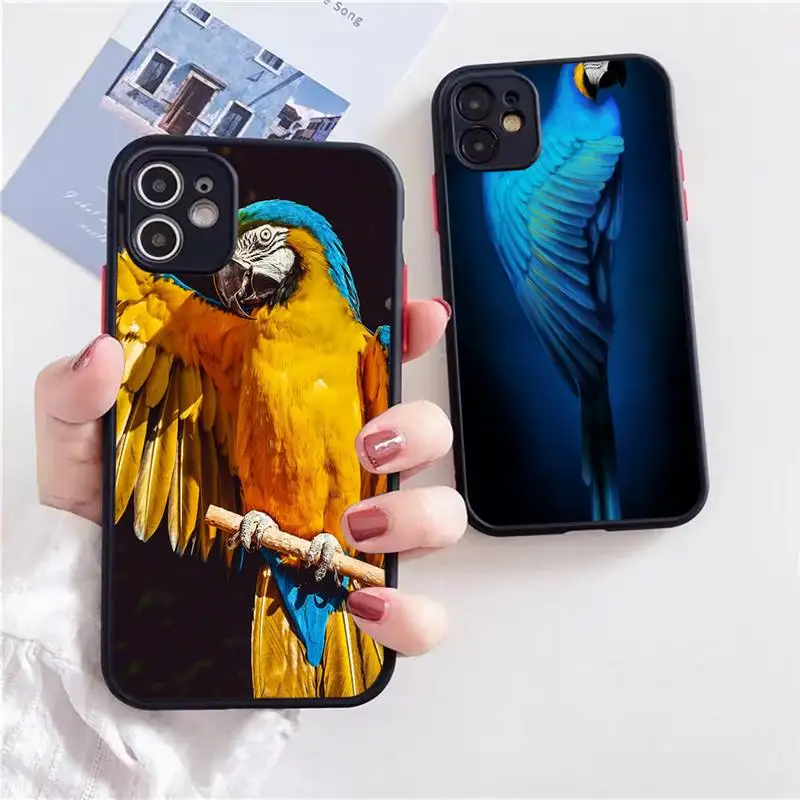 

Cartoon parrot Phone Case For iphone 13 12 11 xr xs x 7 8 pro max Light black Soft TPU Silicone Clear Case Cover