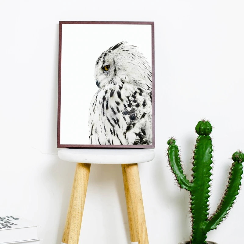 Скандинавские Животные Сова Реалистичная картина холст Художественная печать