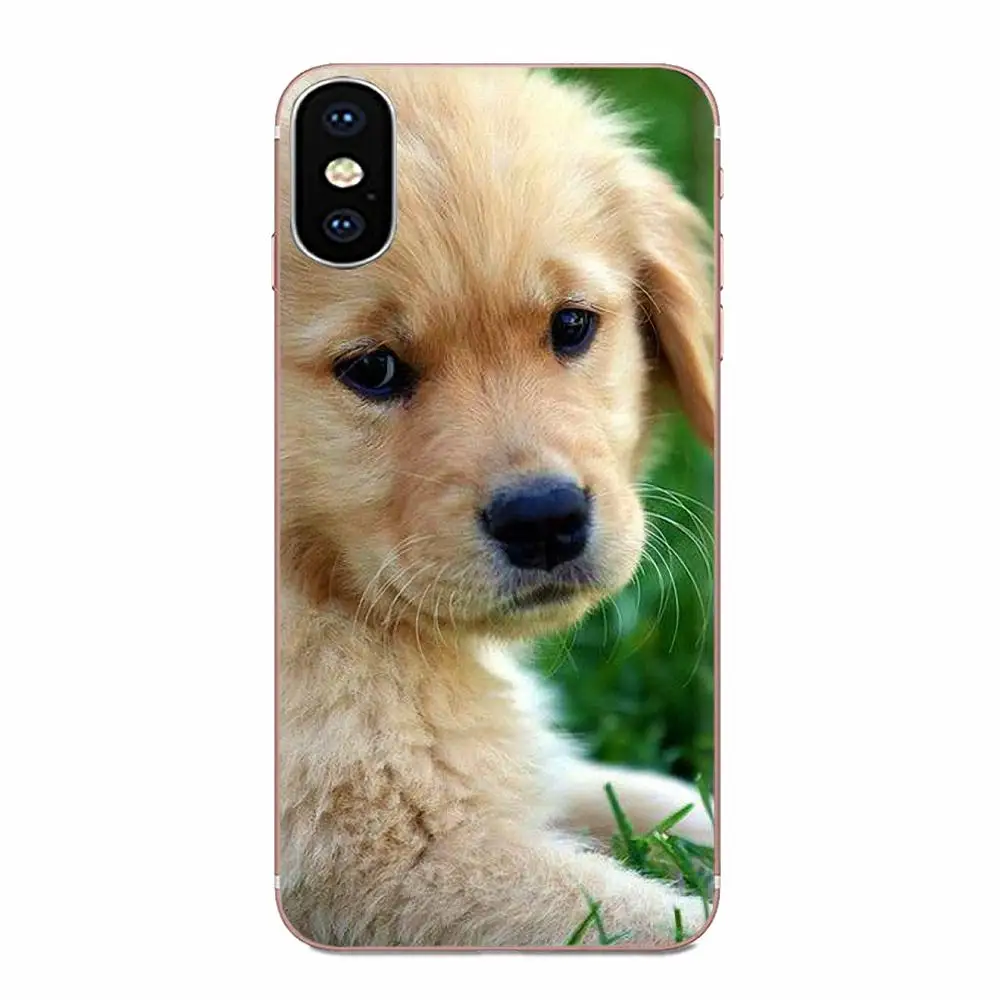 Мягкие ТПУ чехлы Capa Golden Retriever мультяшная собака для Samsung Galaxy Note 5 8 9 S3 S4 S5 S6 S7 S8 S9 S10 5G