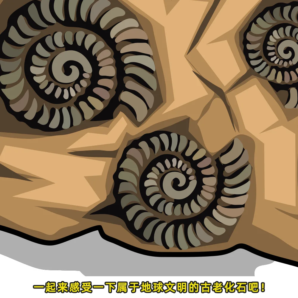 

New Cross-Border Creative Children DIY Handmade Toys Sea Shell Conch Fish Tooth Fossil Archaeological Excavation Set