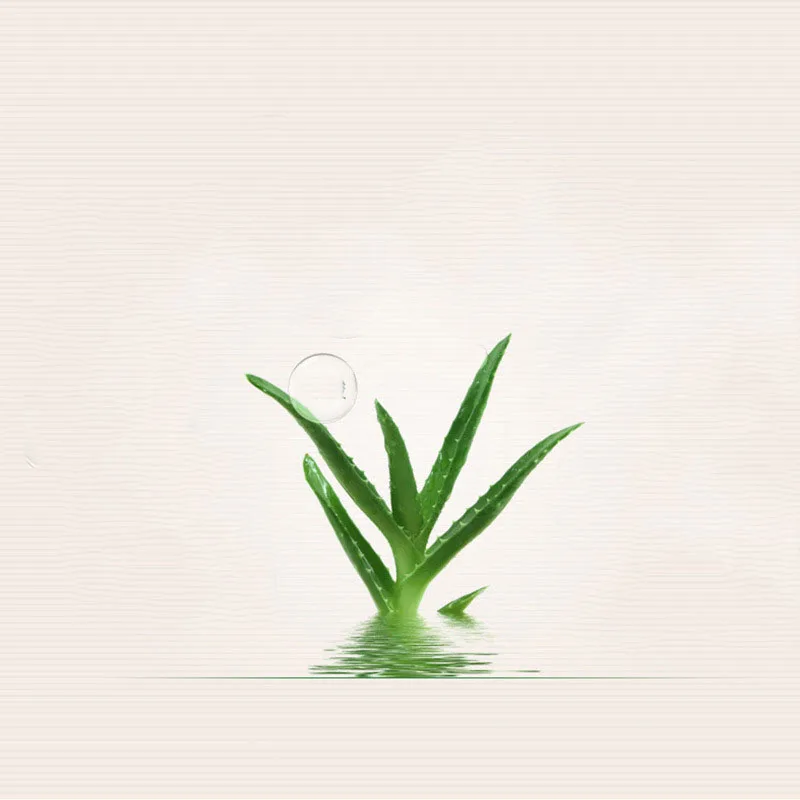 ZHENDUO 3 цвета алоэ эссенция сухой прессованный пудровый макияж консилер легкий