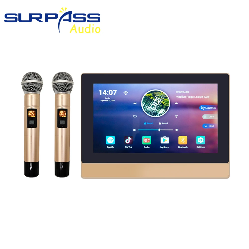 Настенный усилитель для умного дома аудио Bluetooth Wi Fi 2 зоны с ручным беспроводным микрофоном караоке