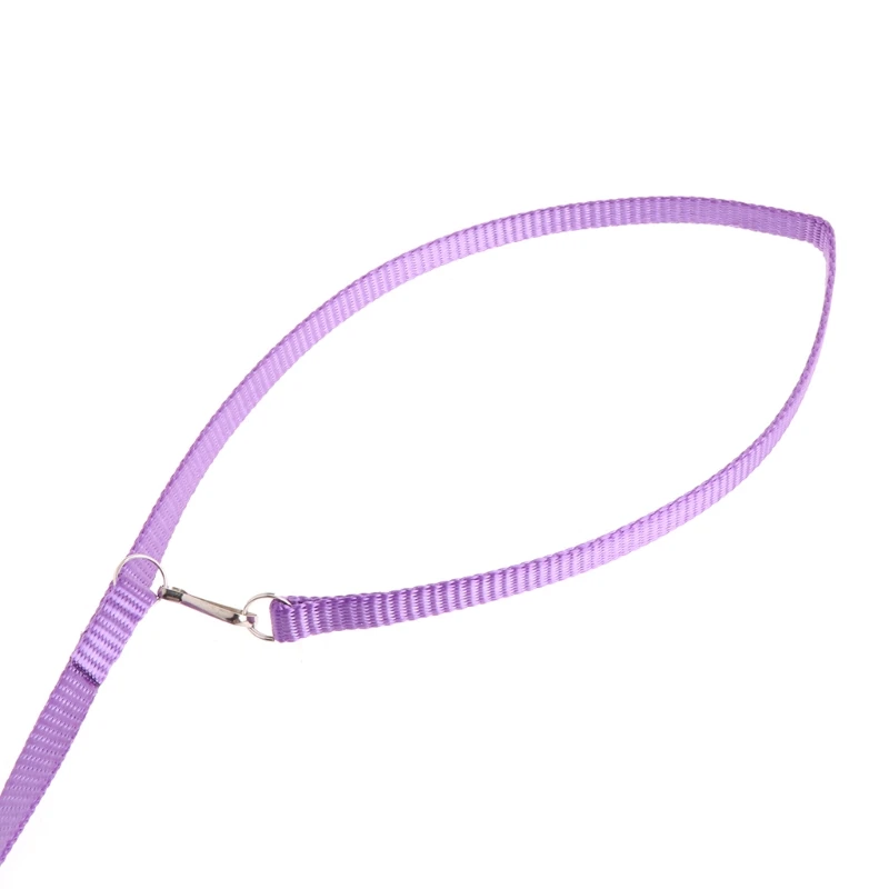 2020 Новый попугай птица поводок Открытый регулируемый жгут тренировочная веревка