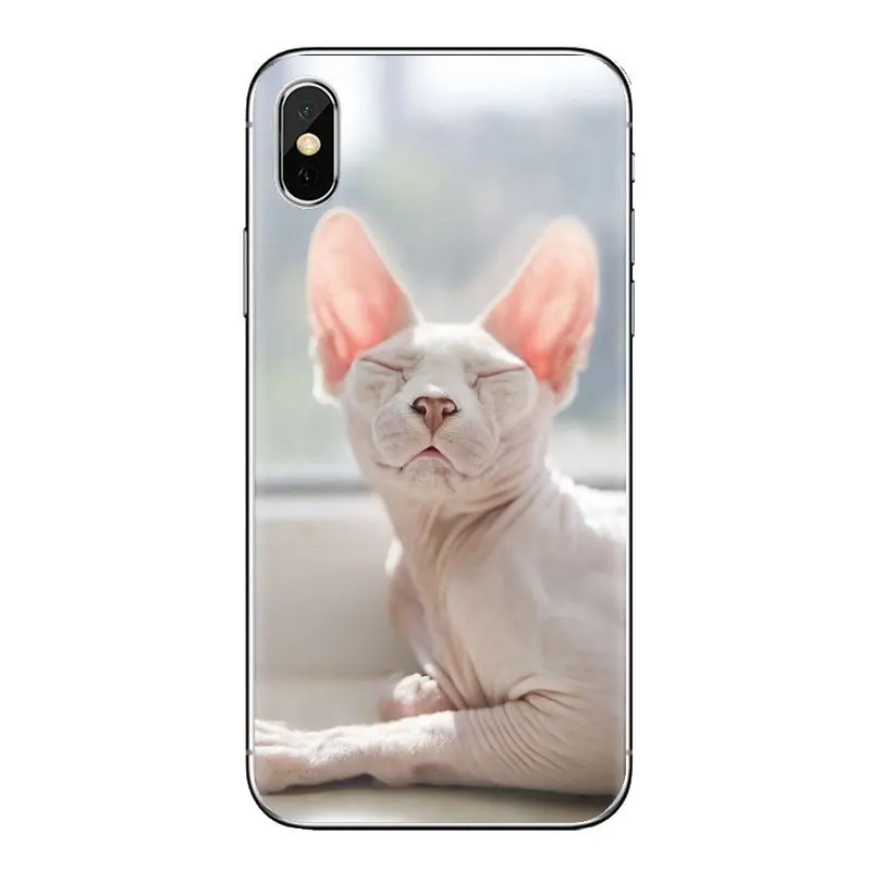 Кошка Сфинкс kitty для iPhone XS Max XR X 4 4S 5 5S 5C SE 6 6S 7 8 плюс samsung Galaxy J1 J3 J5 J7 A3 A5 прозрачный
