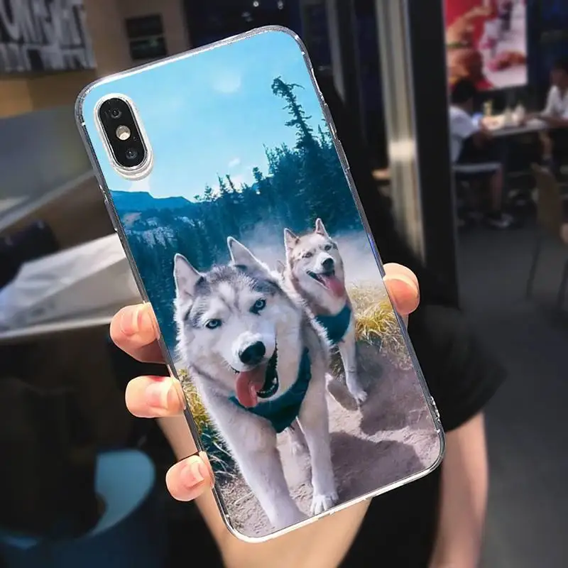

Funny husky animal dog Phone Case Transparent for iPhone 6 7 8 11 12 s mini pro X XS XR MAX Plus