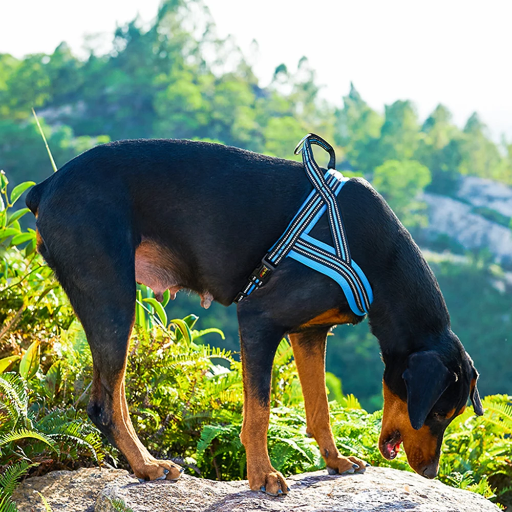 Nylon Heavy Dog Pet Harness Collar Adjustable Reflective Security Big Large Medium Small Harnesses Vest Dogs Supplies | Дом и сад
