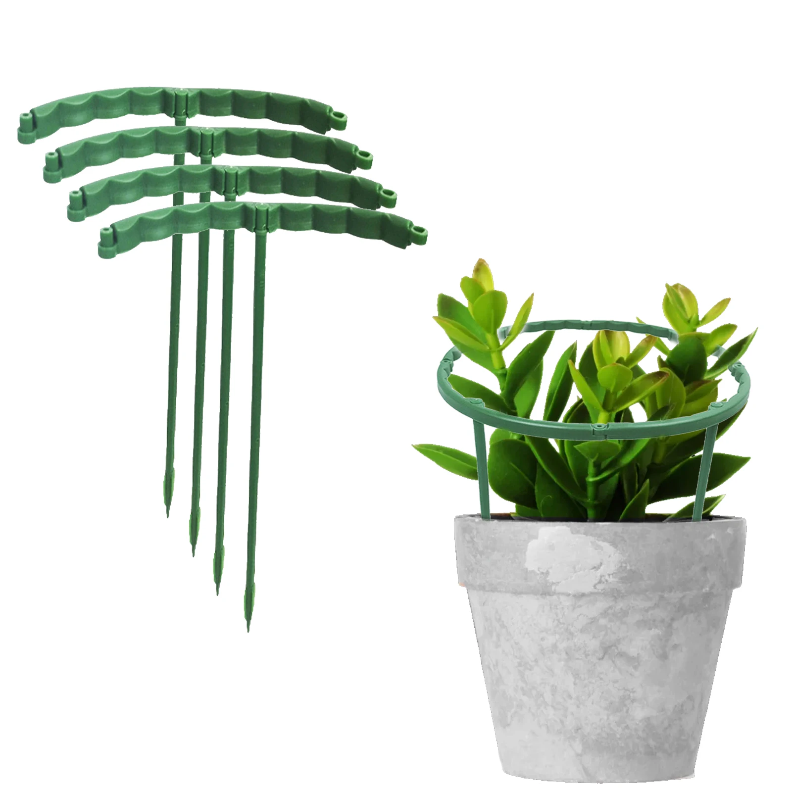 

Plant Support Bracket 4pcs Crab Claws For Schlumbergera Clivia Vegetables Flower Gardening Plastic Tools Climbing Frame