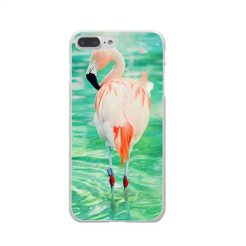 Чехлы для телефонов летние Фламинго любовь Мягкий силиконовый прозрачный чехол