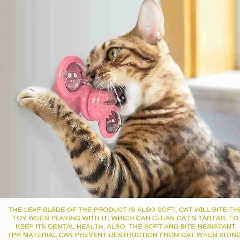 

Pet Products