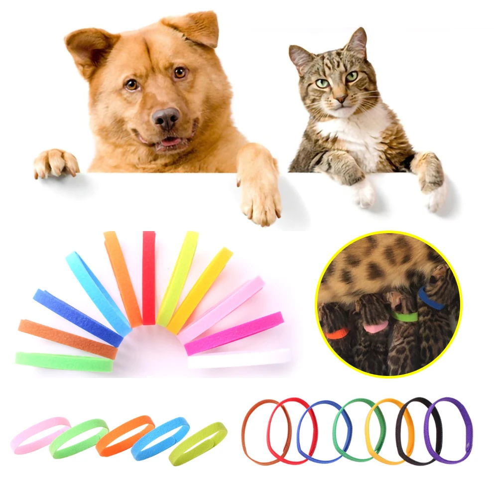 Ошейники для собак ошейники удостоверения личности питомца практичный ошейник